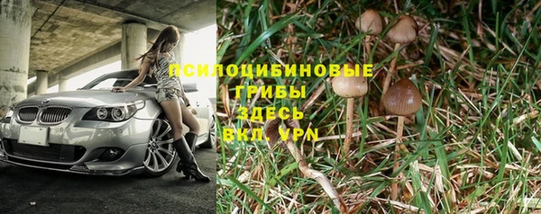 тгк Володарск