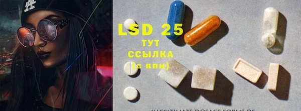 тгк Володарск