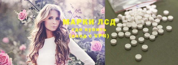 тгк Володарск