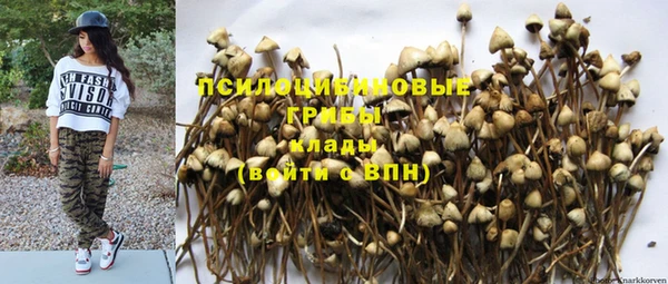тгк Володарск