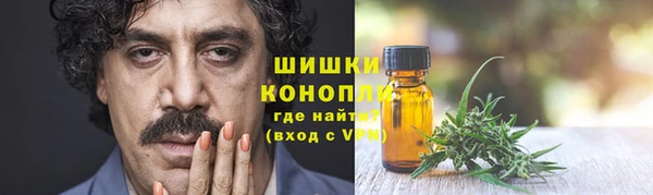 тгк Володарск