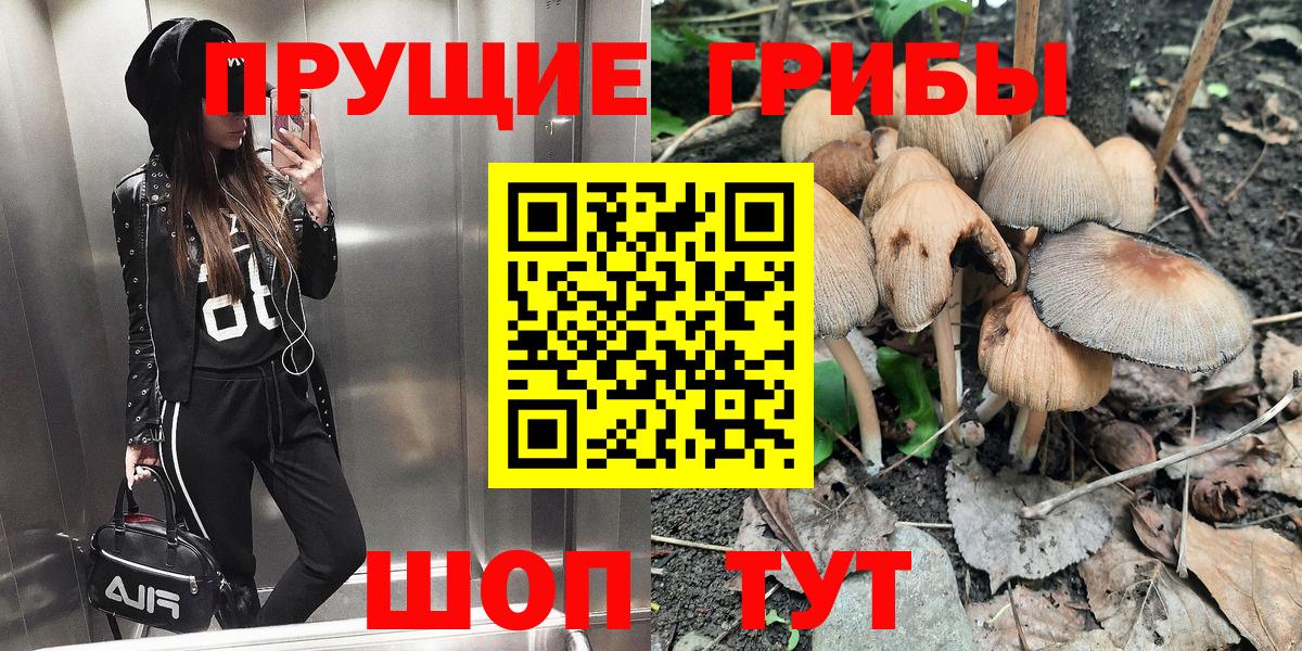 Галлюциногенные грибы Cubensis  Вход с VPN  Назарово  Псилоцибиновые грибы GOLDEN TEACHER 