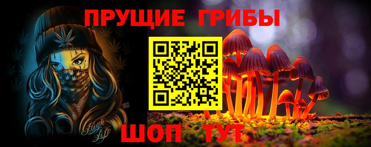 Галлюциногенные грибы Psilocybine cubensis Назарово